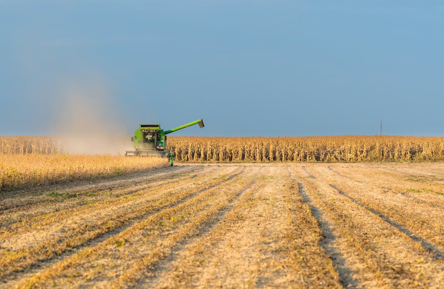 Premium sugar commodity trading